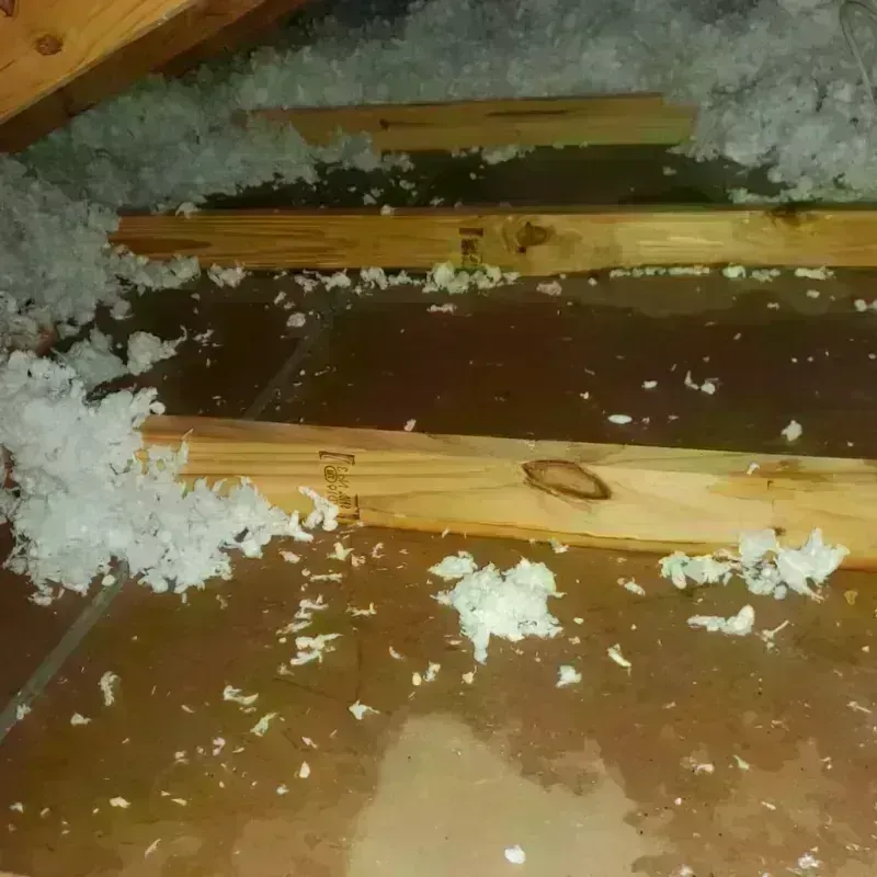 Attic Water Damage in Onalaska, TX