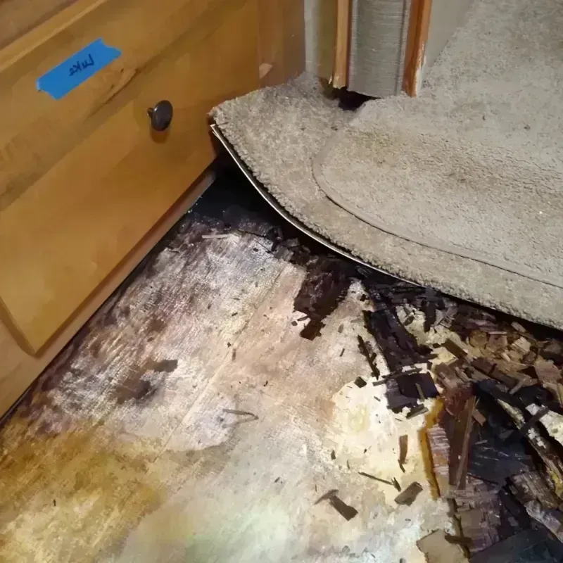 Best Wood Floor Water Damage Service in Onalaska, TX